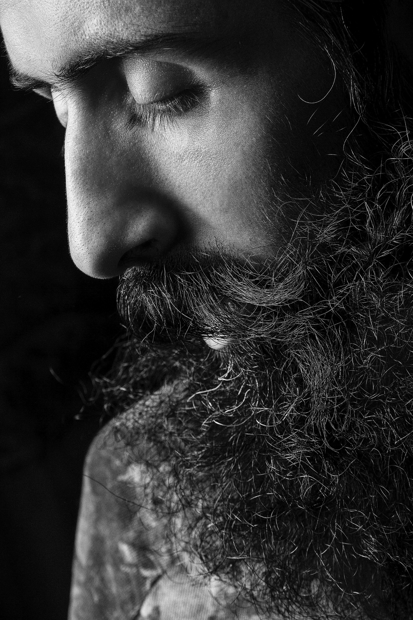 Bearded man portrait for Beard Basics